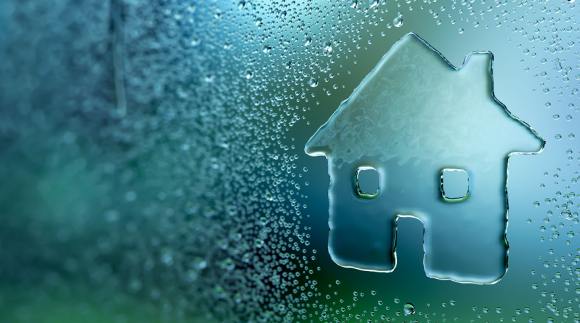 Condensation in the Home Fact Sheet