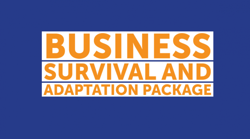 Victorian Government's Business Survival and Adaptation package